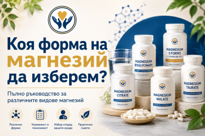 Коя форма на магнезий да изберем? Пълно ръководство за различните видове магнезий