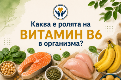 Каква е ролята на витамин B6 в организма?