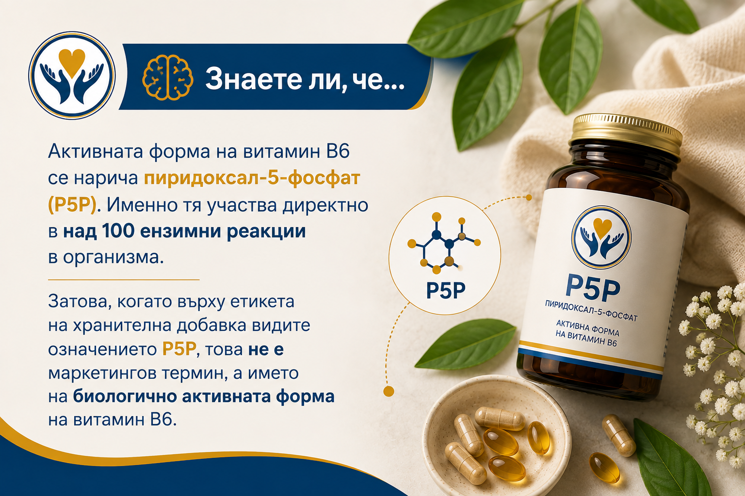 🧠 Знаете ли, че… Активната форма на витамин B6 се нарича пиридоксал-5-фосфат (P5P). Именно тя участва директно в над 100 ензимни реакции в организма. Затова, когато върху етикета на хранителна добавка видите означението P5P, това не е маркетингов термин, а името на биологично активната форма на витамин B6.