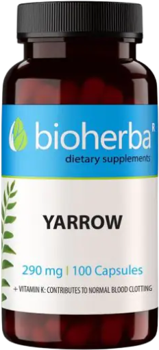 Bioherba Yarrow Flowers 290 mg | Бял равнец 290 mg | 100 капсули, 100 дози